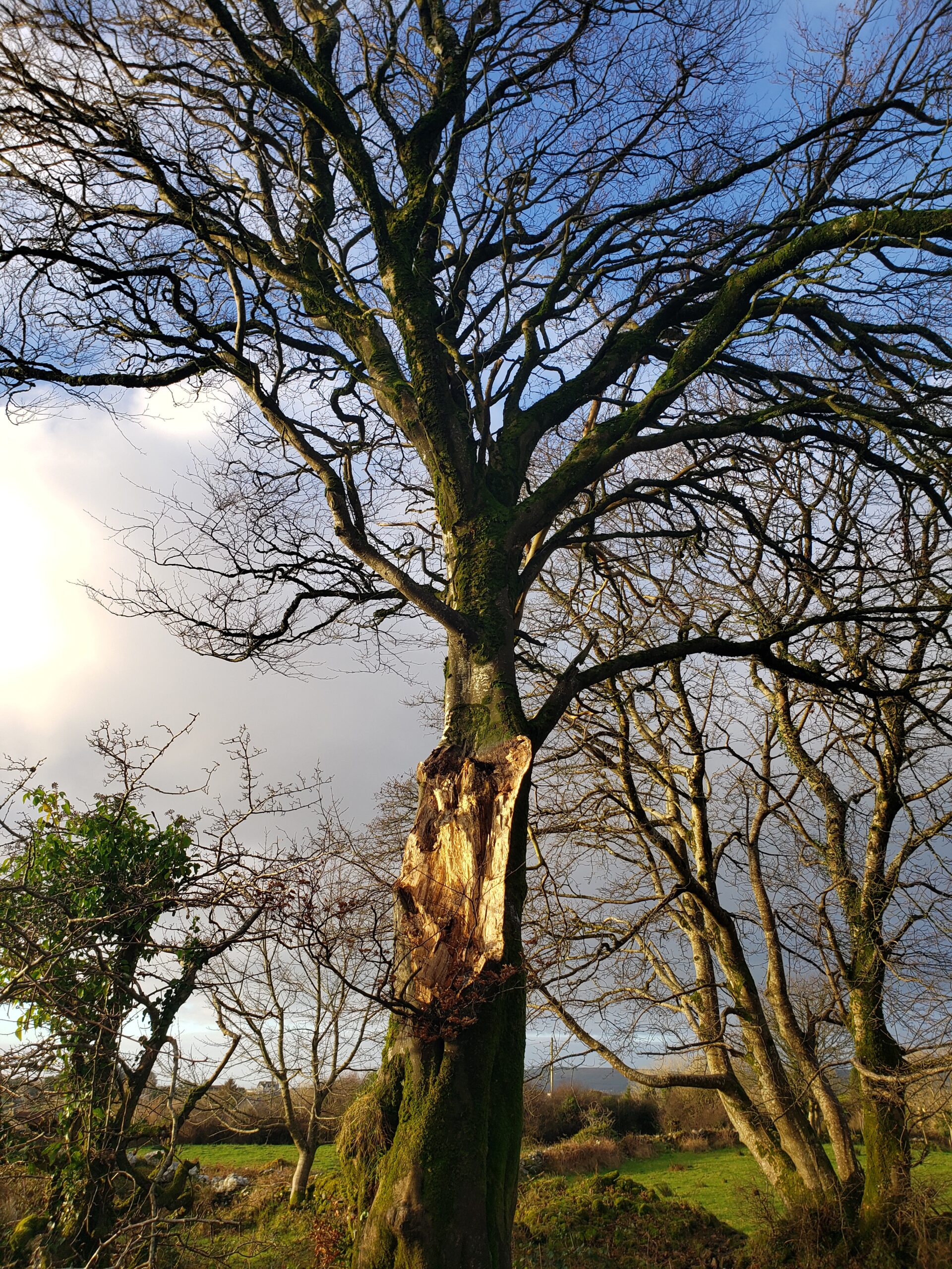 storm-ballynamona